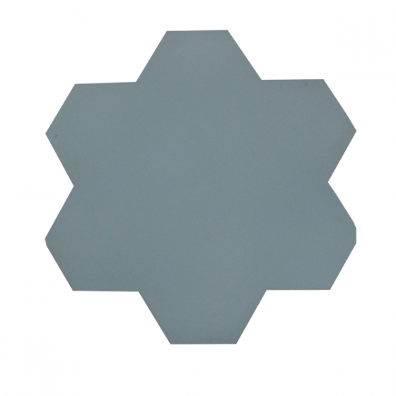 Gạch cánh hoa S5.5